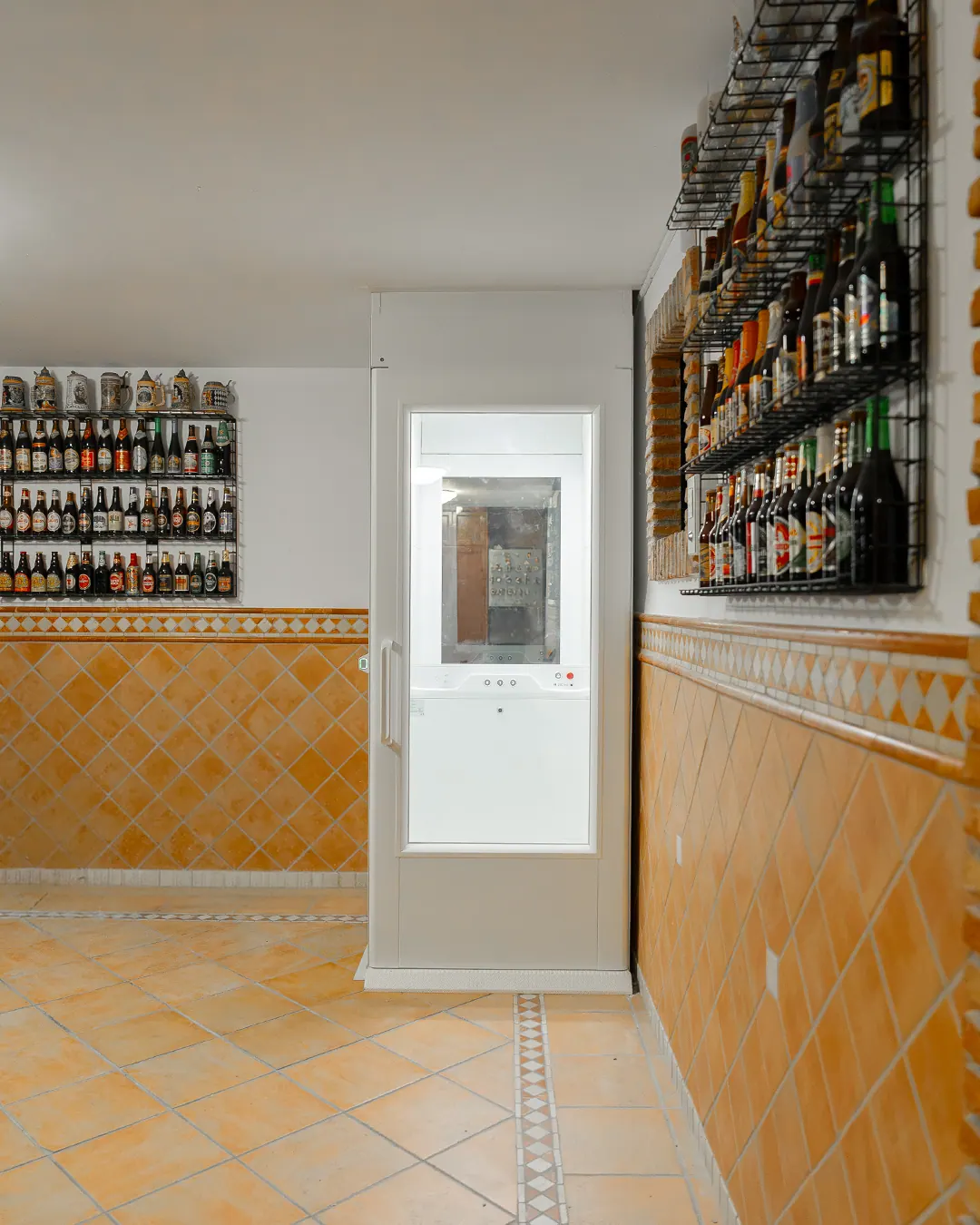 Ascensor Aritco HomeLift Compact de cristal y paneles en blanco · Vivienda unifamiliar con patio en Córdoba · vista general