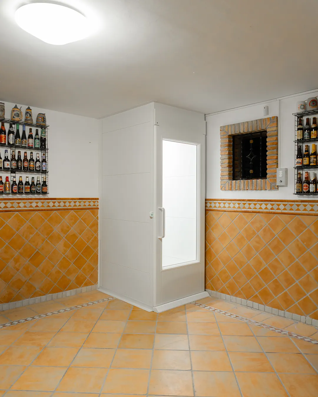 Ascensor Aritco HomeLift Compact de cristal y paneles en blanco · Vivienda unifamiliar con patio en Córdoba · vista general